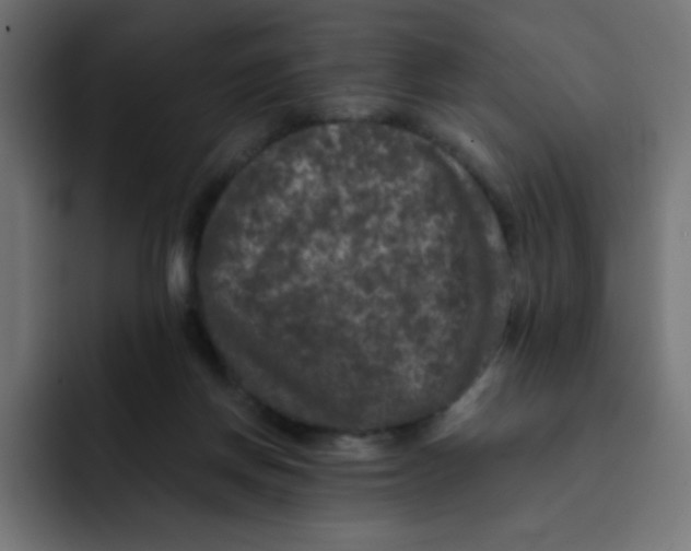 X0000092020166200710041050