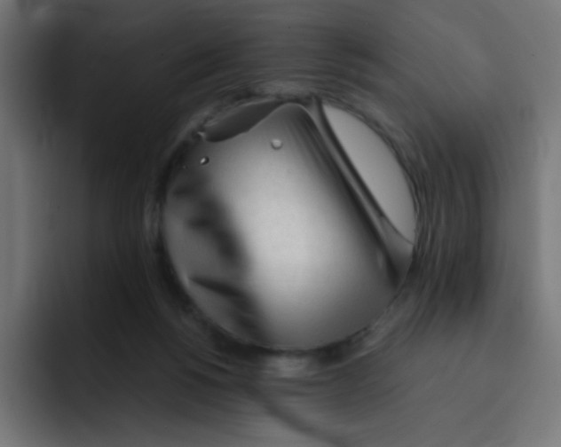 X0000092020168200710041050