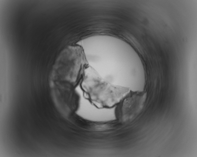 X0000092020169200710041050