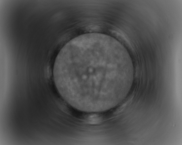 X0000092020173200710041050