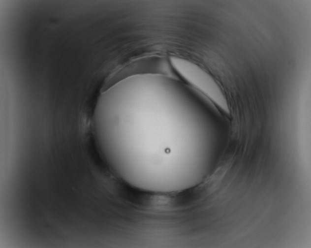 X0000092020176200710041050