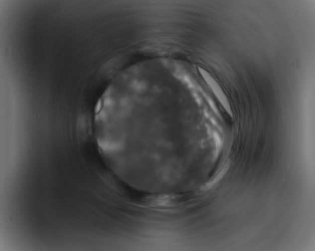 X0000092020182200710041050