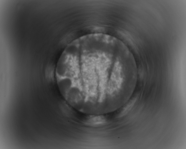 X0000092020185200710041050