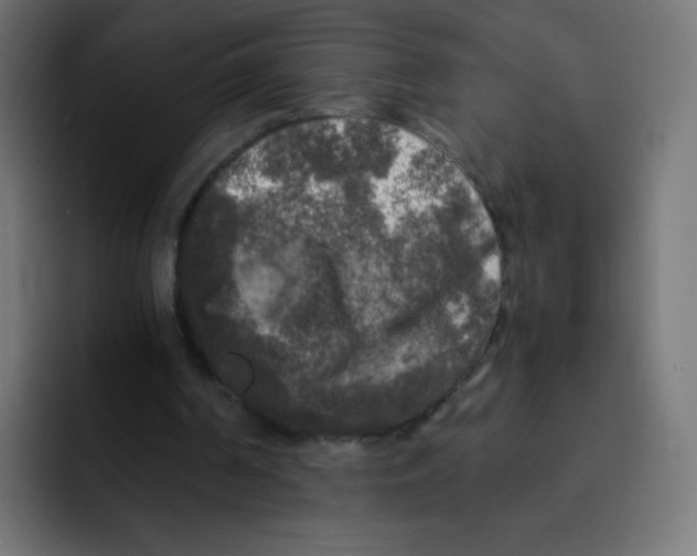 X0000092020194200710041049