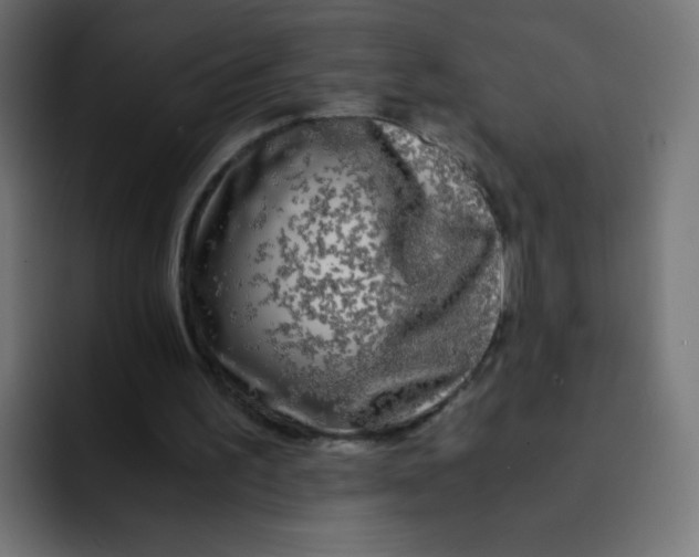 X0000092020195200710041049