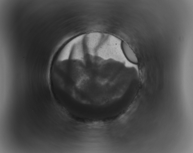 X0000092020196200710041049