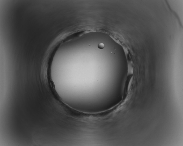 X0000092020197200710041049