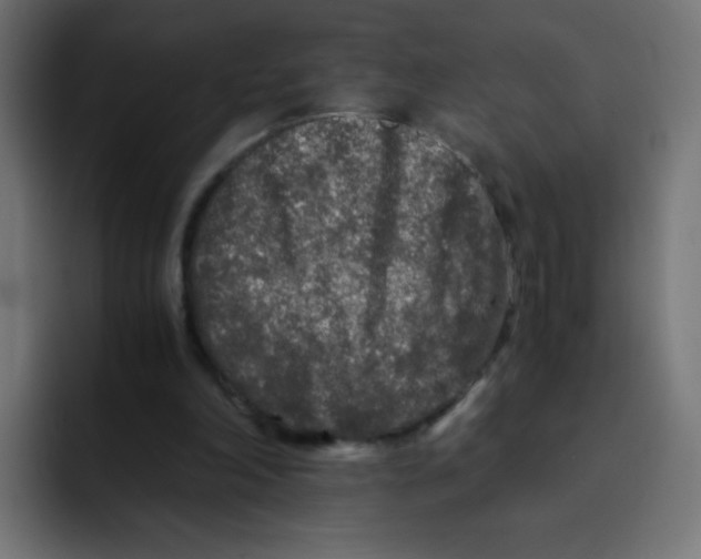 X0000092020198200710041049