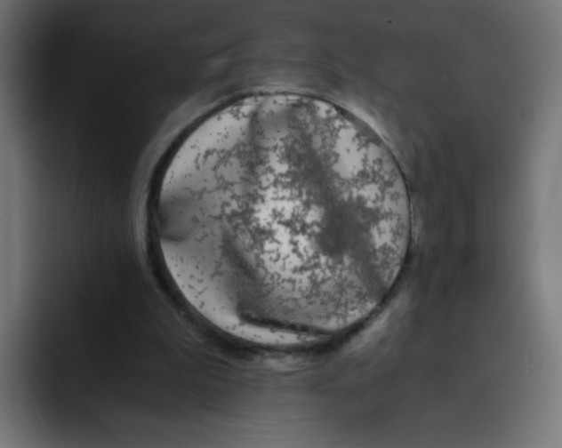 X0000092020199200710041049