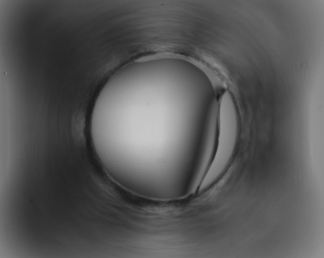 X0000092020201200710041049