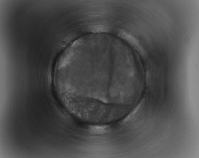 X0000092020202200710041049