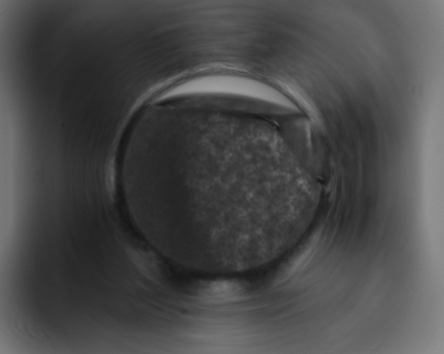 X0000092020204200710041049