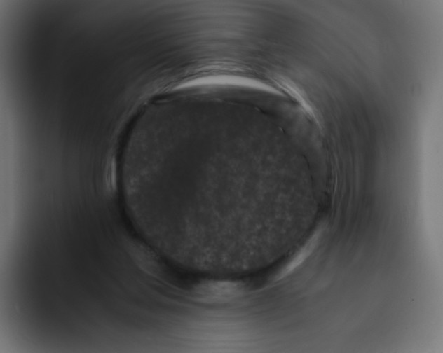 X0000092020205200710041049