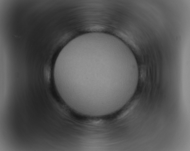 X0000092020206200710041049