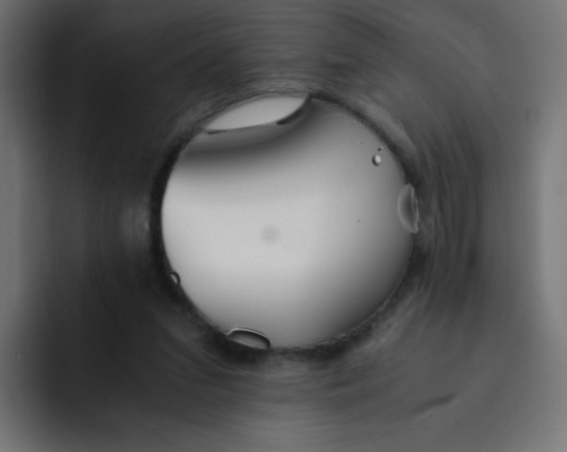 X0000092020207200710041049