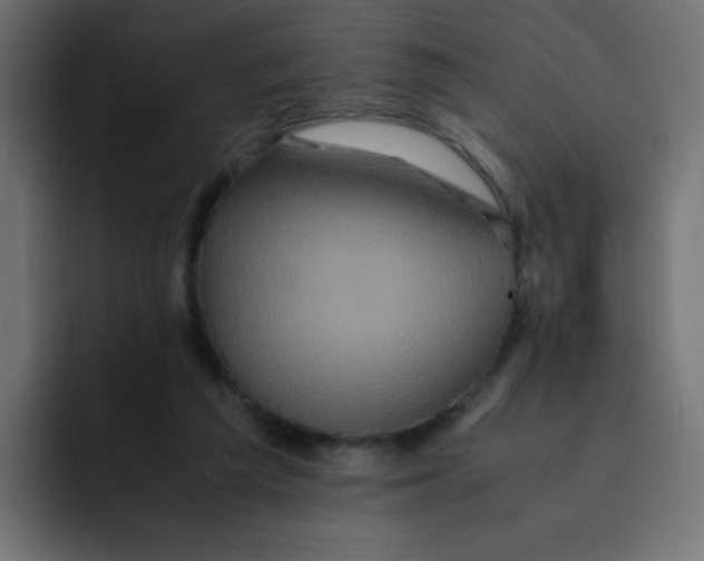 X0000092020209200710041049