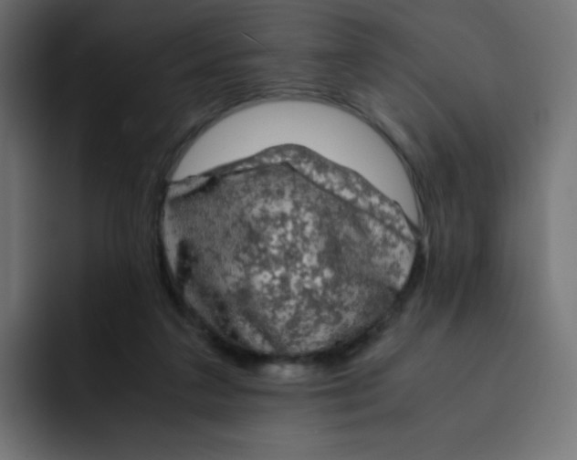 X0000092020211200710041049