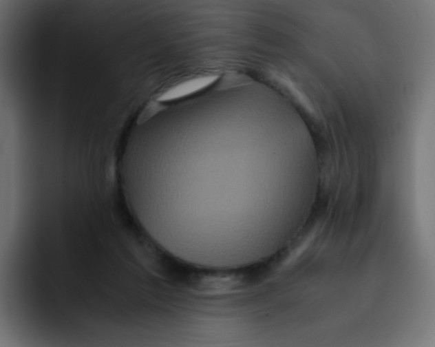 X0000092020213200710041049