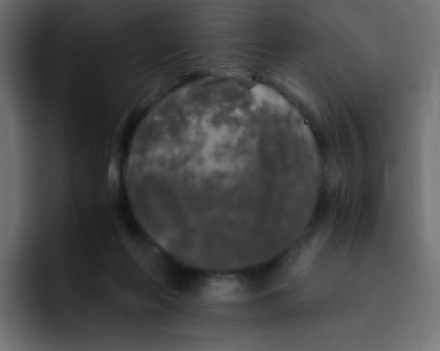 X0000092020214200710041049