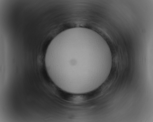 X0000092020218200710041049