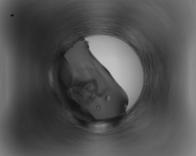 X0000092020219200710041049