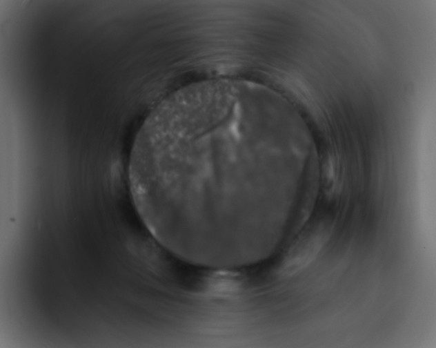 X0000092020222200710041049