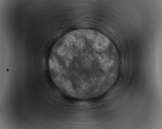 X0000092020224200710041049