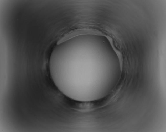 X0000092020225200710041049