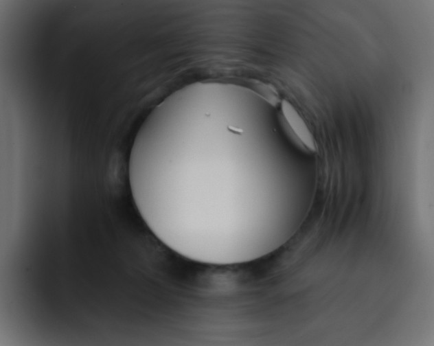 X0000092020228200710041049