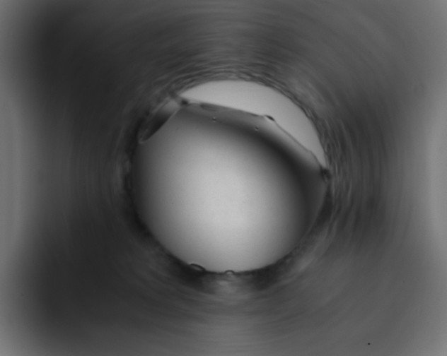 X0000092020229200710041049