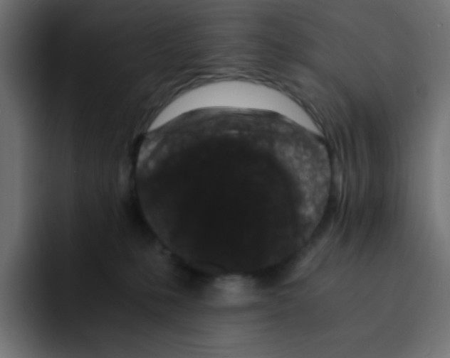 X0000092020231200710041049