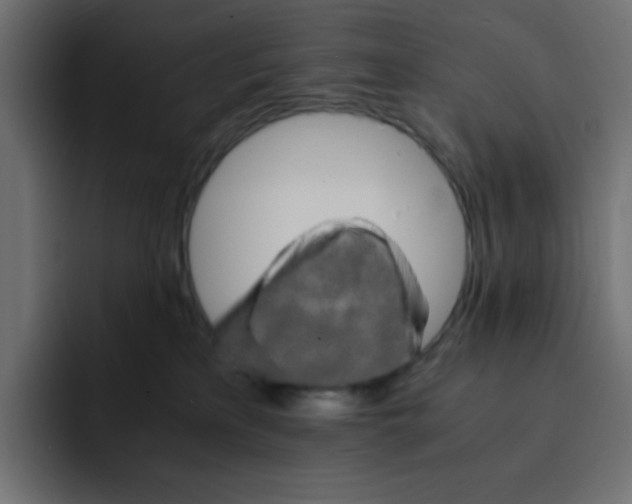 X0000092020233200710041049