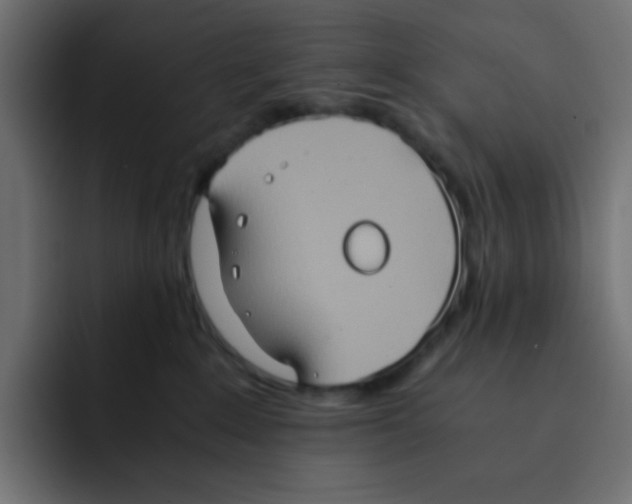 X0000092020235200710041049