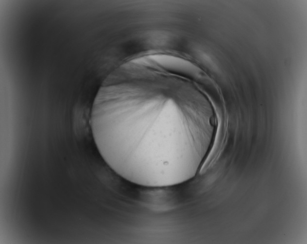 X0000092020237200710041049