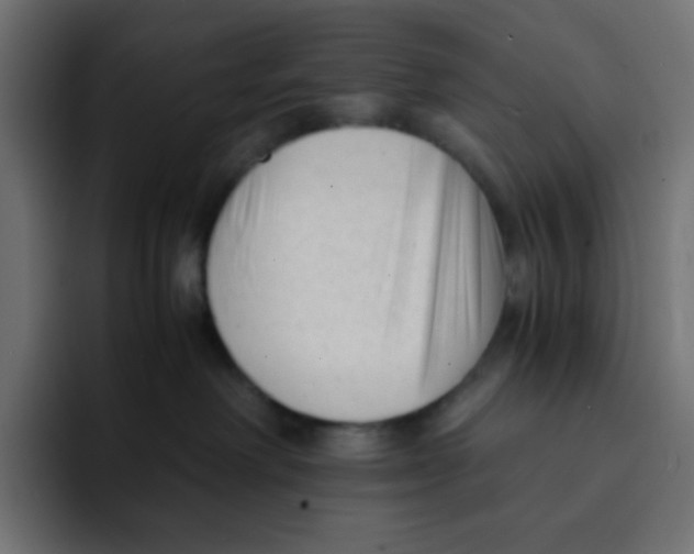 X0000092020238200710041049