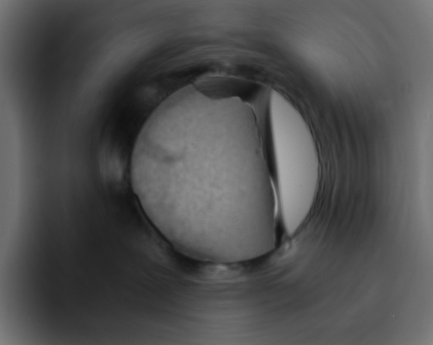 X0000092020239200710041049