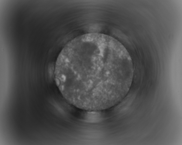 X0000092020240200710041049