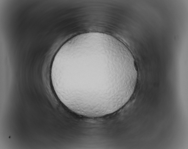 X0000092020241200710041048