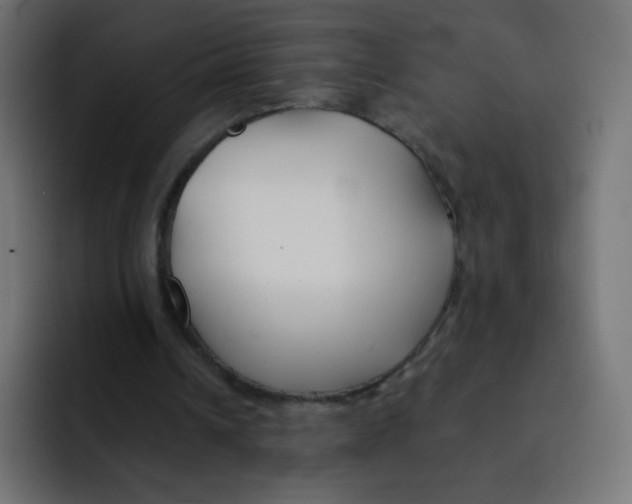 X0000092020242200710041048