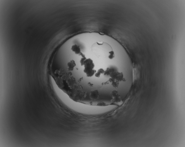 X0000092020243200710041048