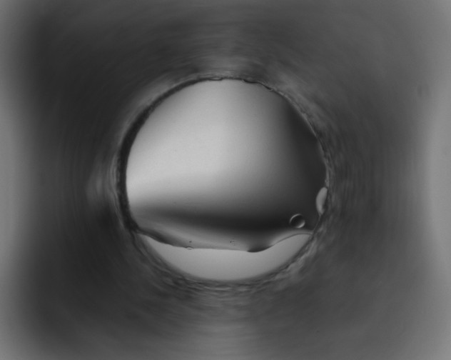 X0000092020244200710041048