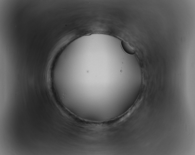 X0000092020245200710041048