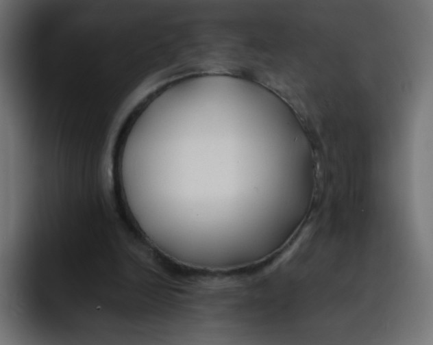 X0000092020246200710041048