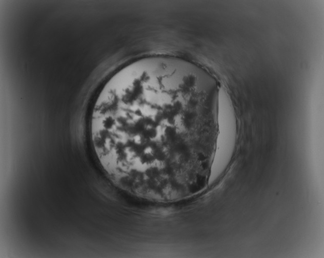 X0000092020247200710041048