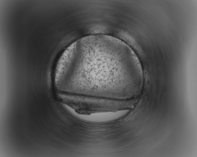 X0000092020250200710041048