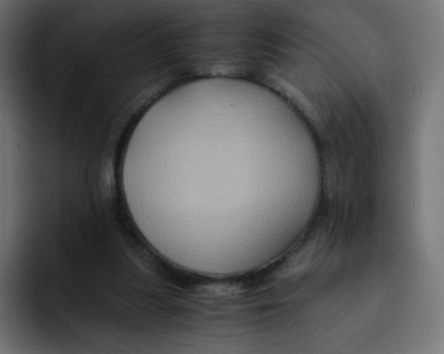 X0000092020251200710041048