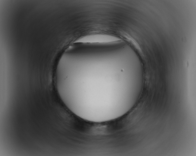 X0000092020257200710041049