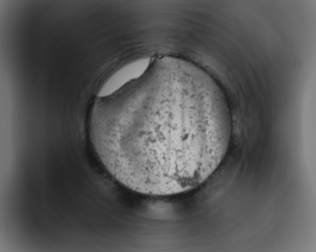 X0000092020258200710041049