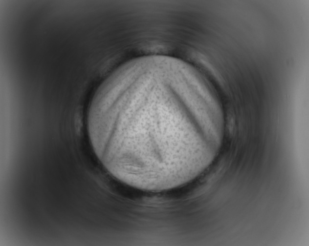 X0000092020259200710041049