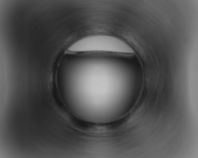 X0000092020260200710041049